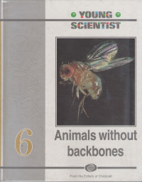 Young Scientist #6 : Animals without Backbones