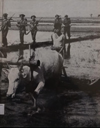 Image of China-Burma-India: World War II #9