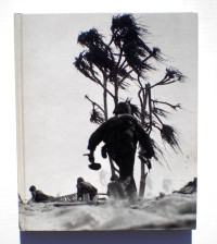 Image of Island Fighting: World War II #10