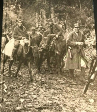 Image of Partisans and Guerrillas: World War II #12