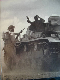 Image of The War in The Desert: World War II #7