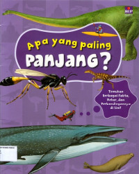 Apa yang Paling Panjang?