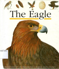 The Eagle #38