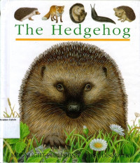 The Hedgehog #84