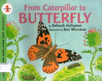 Image of From Caterpillar to Butterfly: Let's- Read- And- Find- Out- Science, Stage 1
