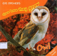 See how they grow Owl : Eye Openers