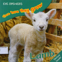 See how they grow Lamb: Eye Openers