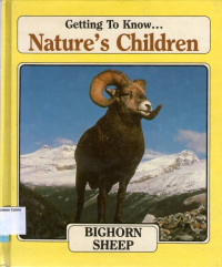 Image of Getting To Know Nature's Children: Bighorn Sheep