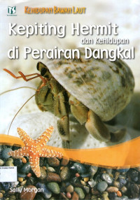 Kehidupan Bawah Laut: Kepiting Hermit dan Kehidupan di Perairan Dangkal