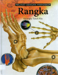 Melihat Dengan Mikroskop #2: Rangka, Kerangka Tubuh Kita