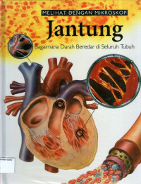 Melihat Dengan Mikroskop #1: Jantung, Bagaiman Darah Beredar di Seluruh Tubuh