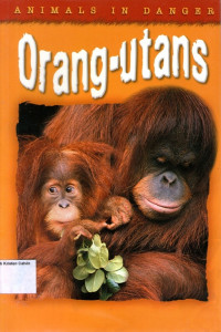 Animals in Danger #4: Orang-Utans