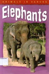 Animals in Danger #5: Elephants