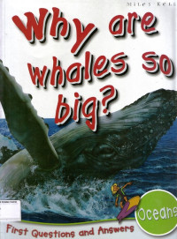 Why are whales so big?: First Questions and Answers, Oceans