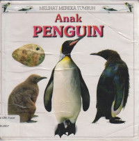 Melihat Mereka Tumbuh: Anak Penguin