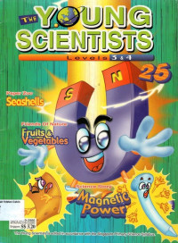 Science Story Magnetic Power: The Young Scientists (Level 3&4) #25