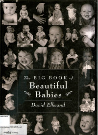 Big Book of Beautiful Babies, The