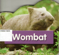 Aussie Animlas Fun (Wombat): Door-Hanger Books