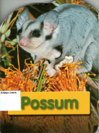 Aussie Animals Fun (Possum): Door-Hanger Books