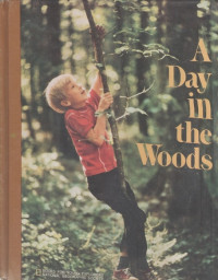 Image of A Day in the Woods: Books for Young Explorers