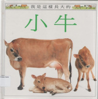 Image of Calf Õ░Åþëø