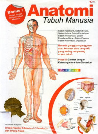 Anatomi Tubuh Manusia