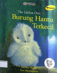 Burung Hantu Terkecil: The Littlest Owl